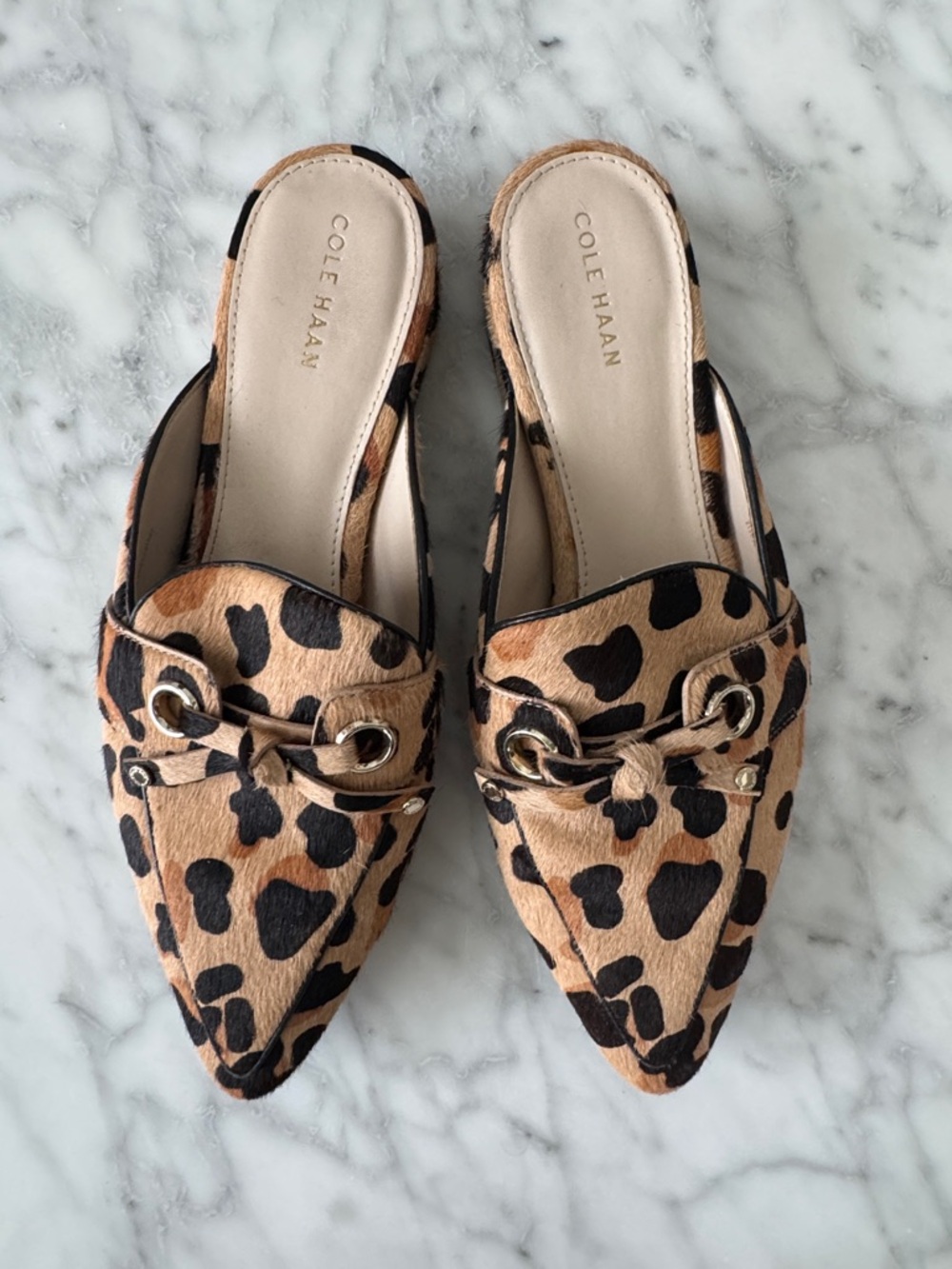 🌼COLE HAAN🌼 Piper Leopard-Print Pointed Mule, Size 8 - Picture 2 of 8